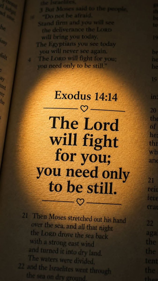 NMRussell2's tweet photo. ~ EXODUS 14:14 📖 https://t.co/312306cdPl