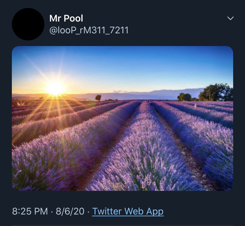 EsotericKang's tweet photo. 🌞 https://t.co/0xq02v2mfk