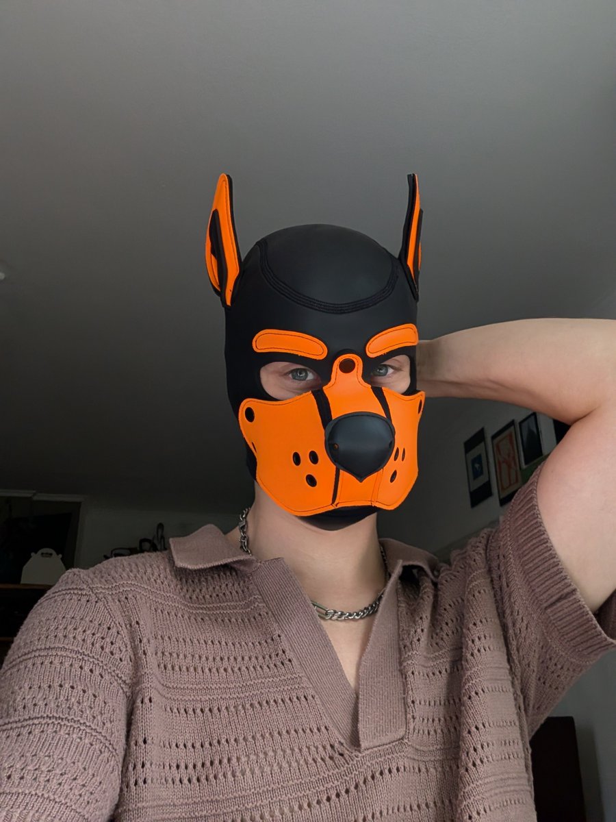 Kogatax3's tweet photo. Wruff 🐾😋
What's your favourite toy?🐶
#pup #puppy #gaypup #gay #twink #pupplay https://t.co/eIsW3UKTkm