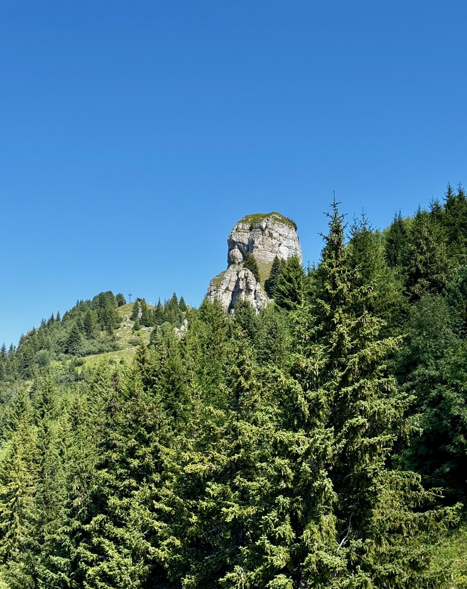 vogtonline's tweet photo. Today’s day trip to the #schynigeplatte 🤩 https://t.co/qE0kwXlGhC