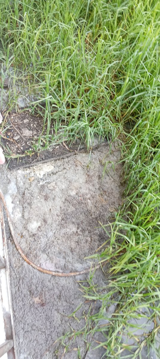 elsitasis's tweet photo. @Claudiashein @GobiernoMX @ImagenTVMex @AztecaNoticias @ForoTV_Noticias @AzcapotzalcoMx @SEGIAGUA En base a tanta agua sucia se han hecho plagas de roedores y hay un hoyo por el cual se mina el agua a una esquina del edificio, con riesgo a hacerse un zocavon y también que debilite la estructura del edificio, les pido de la manera más atenta mi auxilio https://t.co/FdOU2lUuMo
