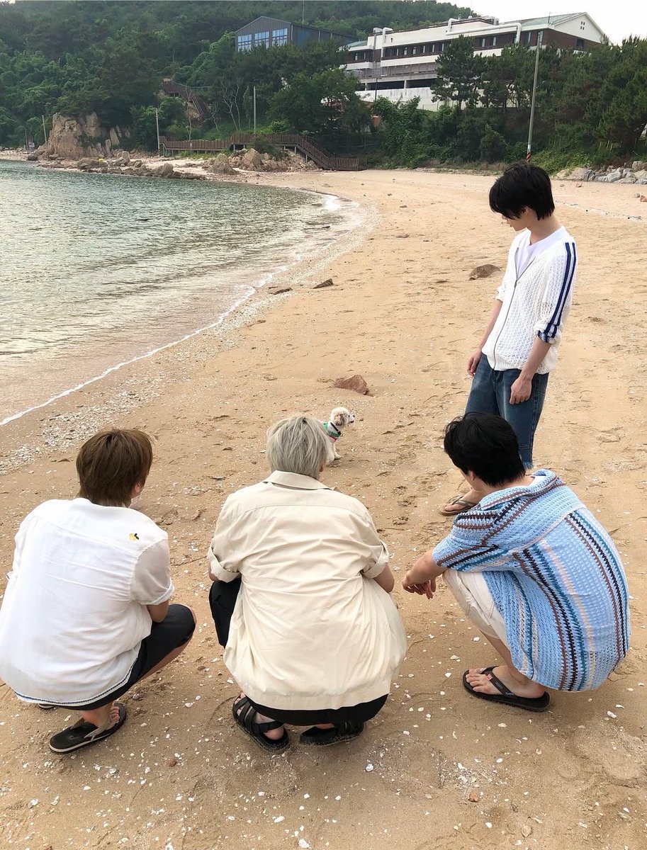 be0mgyuna's tweet photo. 海にいたわんこまで虜にしてしまうボムギュさん https://t.co/8tOqIVMfyn