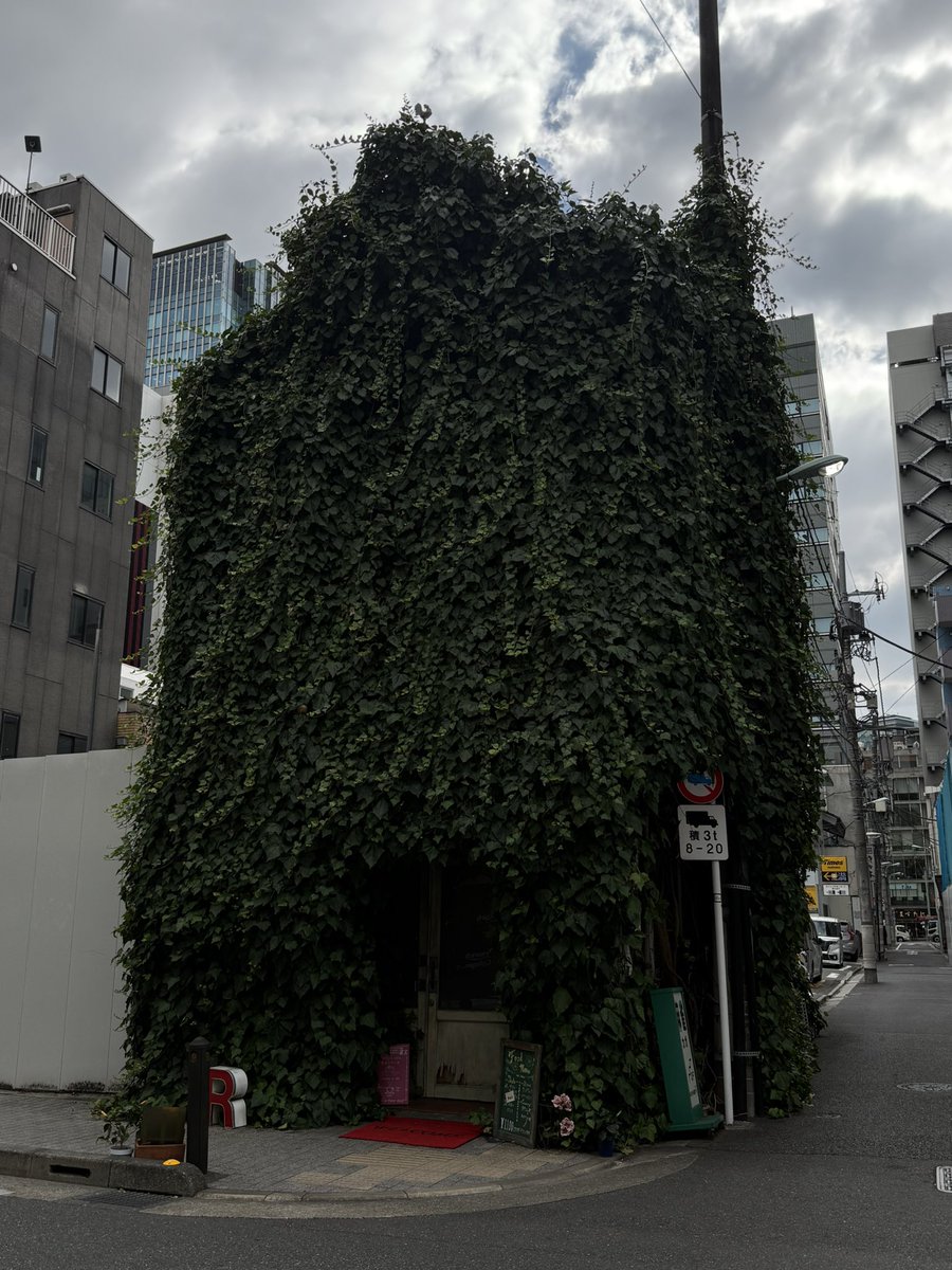 snoopy___inu's tweet photo. ありえない量のツタが絡まってる店入ったら純喫茶でめっちゃよかった。アイスコーヒー380円で東京とは思えない商売だったし。 https://t.co/IlqzgQQ6Rp