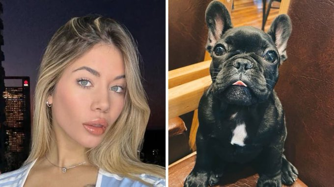 fortavat's tweet photo. ¿Quién sacaba a hacer cacona al perrito mientras Facundo Moyano y Candela Nosécuanto estaban meta merca durante 4 días? 
Investiguen ... https://t.co/dP8YGqjuKn