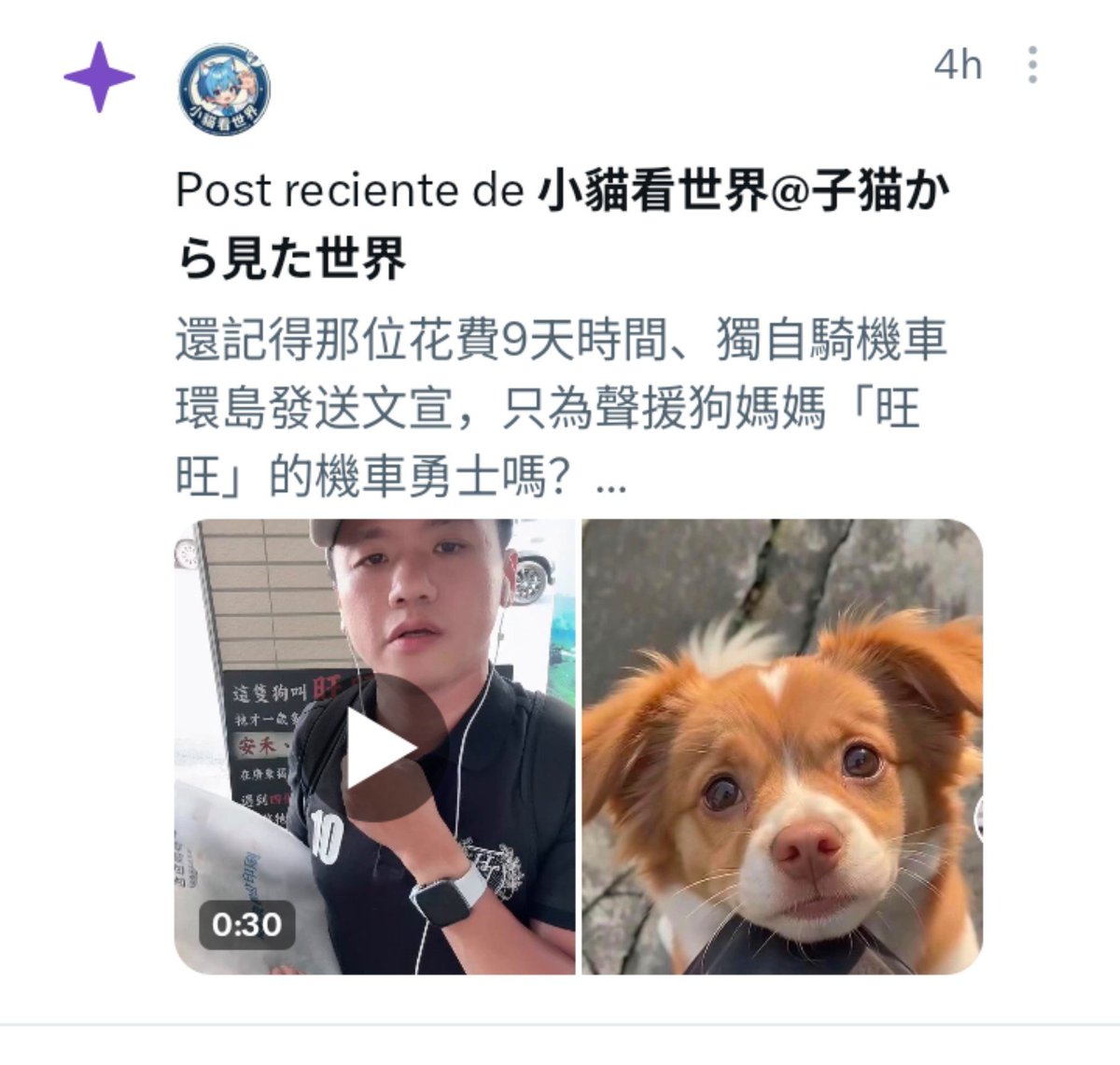 Marcemgffvg's tweet photo. 🚨🚨 Platform X is suspending accounts that mention #WangWang  #旺旺 Let's not allow them to intimidate us, and if we stop publishing, they will win. We shared screenshots of the suspended account and we find it unacceptable that this is happening.
@PhaedraXTeddy @ayakan0922 https://t.co/nt0aXCJjdI