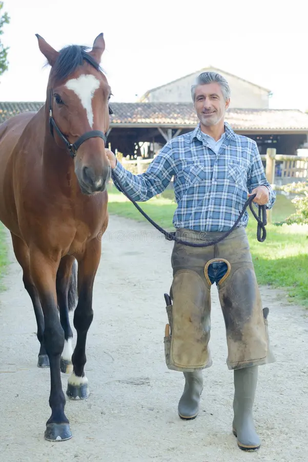 SCP_Hughes's tweet photo. Notice something strange about the Roman horse: its back is on a level with the man's stomach. A modern horse's back is somewhere closer to shoulder-height (and modern people are taller too!). https://t.co/jisnJRr3jy