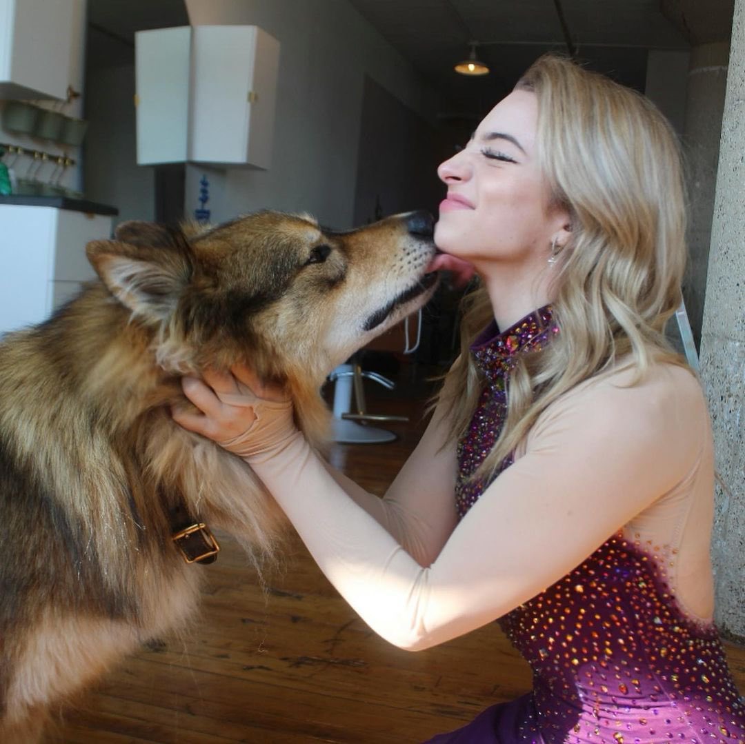 archiveglenn's tweet photo. 🐶 https://t.co/0tqwlozSnu