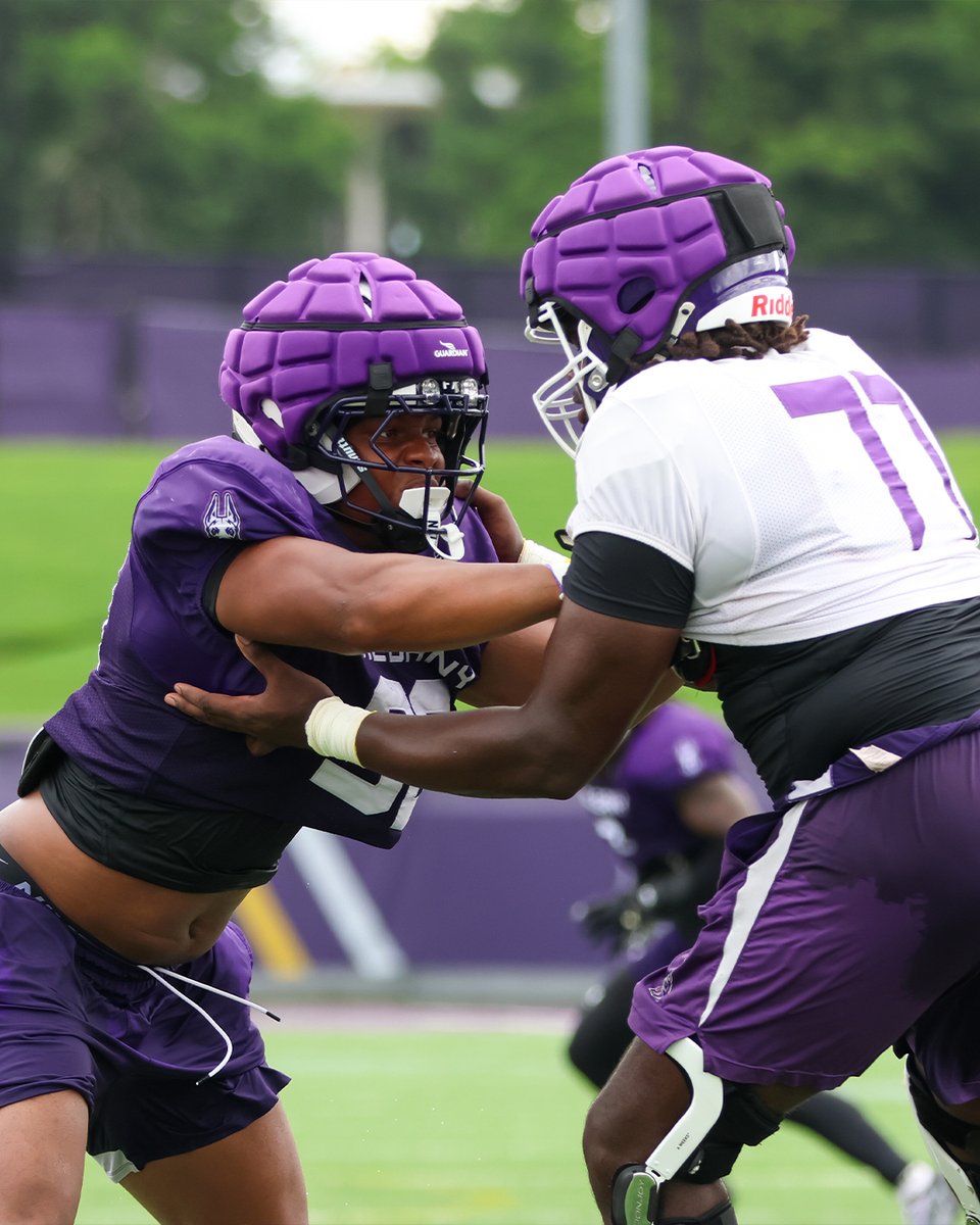 UAlbanyFootball's tweet photo. Workin' hard in week ✌️ of camp

#UAUKNOW https://t.co/5qCzXfVlif