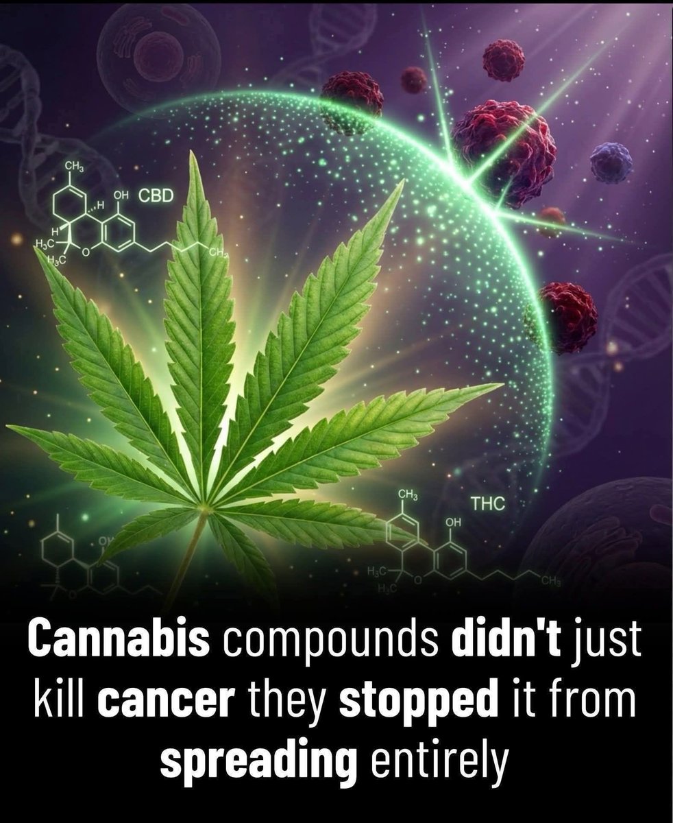 SJ420Too's tweet photo. Look it up https://t.co/neAzTX2kb9