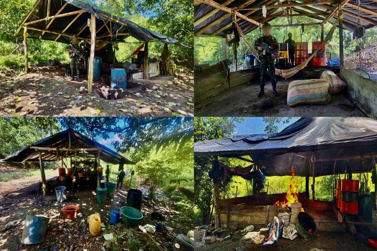 COL_EJERCITO's tweet photo. 🚨BREAKING NEWS | New military operations in southern #Córdoba have led to the discovery of two coca paste laboratories.

The operation took place in the rural village of Santa Fe Las Claras, in the municipality of Puerto Libertador, Córdoba. In this area, soldiers from #Brigada11 of @Ejercito_Div7 found two wooden structures containing 275 kilograms of chopped coca leaves, 150 kilograms of cement, 75 kilograms of lime, 8 metal buckets, and two press molds.

Learn more at >> https://t.co/T9YbTOZ3HE

#ContundenciaOperacional 
#HomelandHonorLoyalty