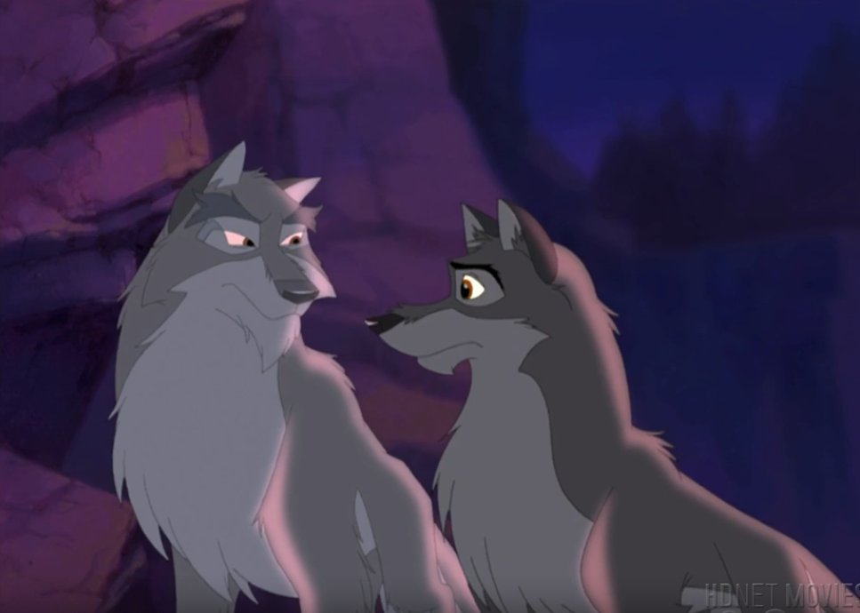 waeirfaahl's tweet photo. It'd be so much better, if sequel made #Nava to be Balto's dad. Very similar design of #Balto and Nava, their weird compassion toward their tormentors, #Aleu's bond with Nava, her superpowers, and also faithfulness to the canon of first film with the father as Balto's wolf side. https://t.co/ckelejSe34