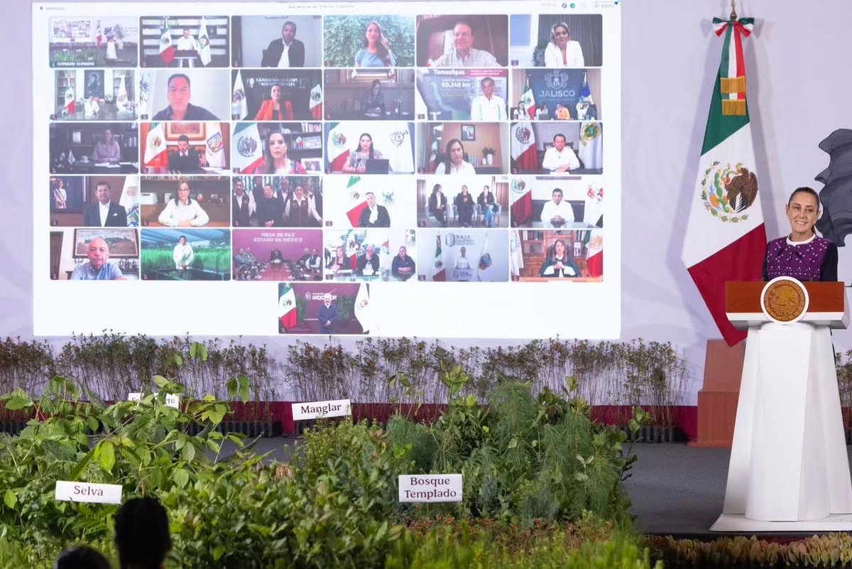 juliomenchaca_'s tweet photo. Trabajaremos en equipo con nuestra Presidenta @Claudiashein y hoy durante la Mañanera del Pueblo nos sumamos a la Jornada Nacional de Reforestación en el que sembraremos más de 6.6 millones de árboles en todo el país. https://t.co/fHK5WRLcDM
