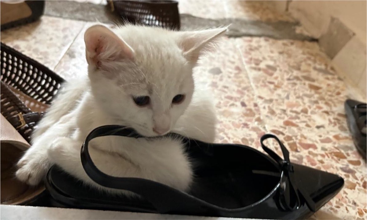iinsevde's tweet photo. waiting you… https://t.co/uYtfS9Vpuy