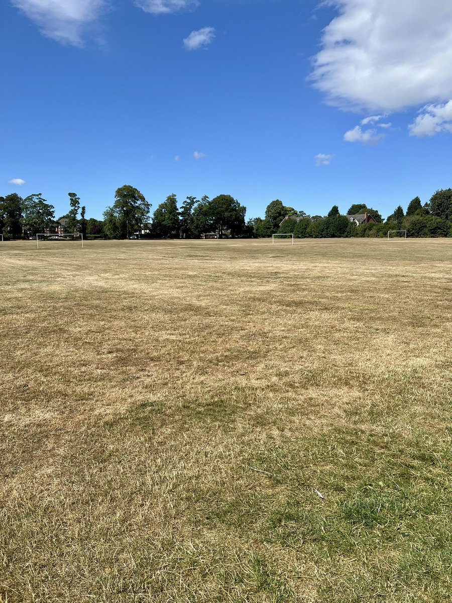 MatthewLumby's tweet photo. Playing Fields after three months of sun. 
Not sure I’ve ever seen grass like this in @ShitChester… https://t.co/H0uWZoldic