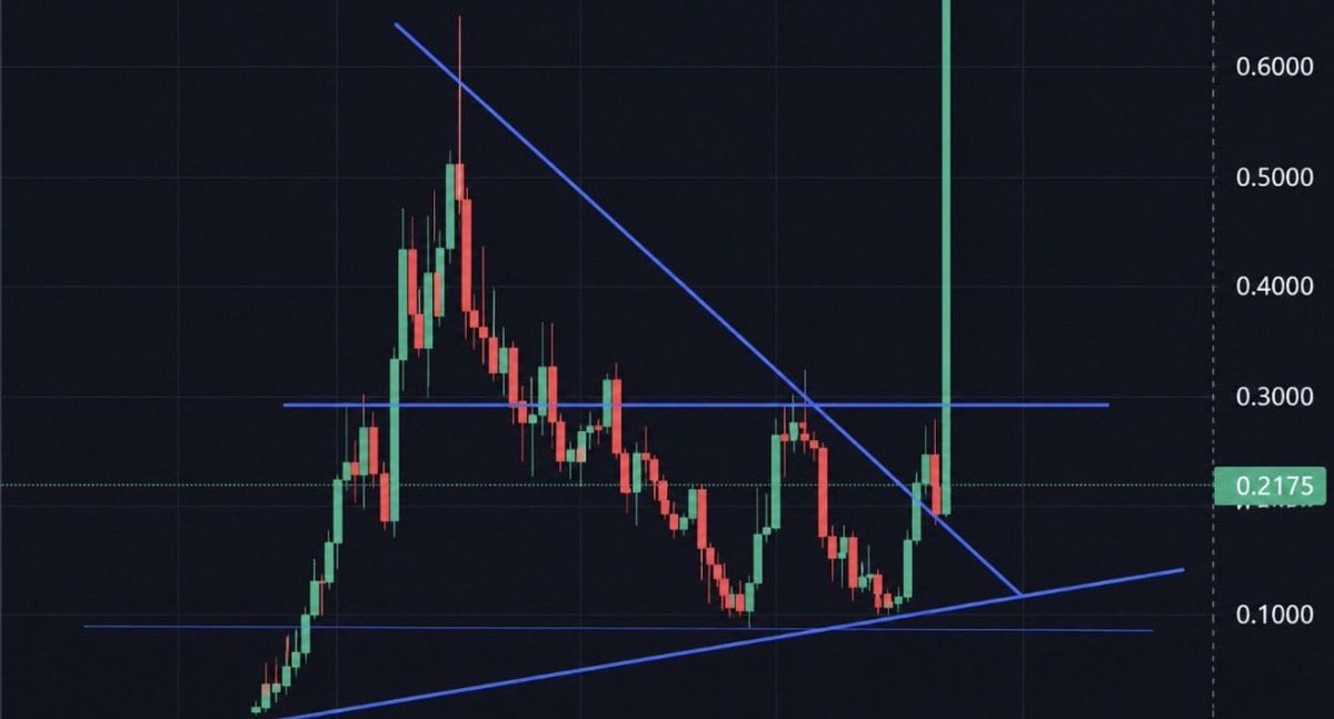 nexocookerx's tweet photo. Biggest crypto bull run is loading 

All of our coins will go parabolic 

The memecoins will go even crazier

Be positioned https://t.co/AW5EIWlXbm