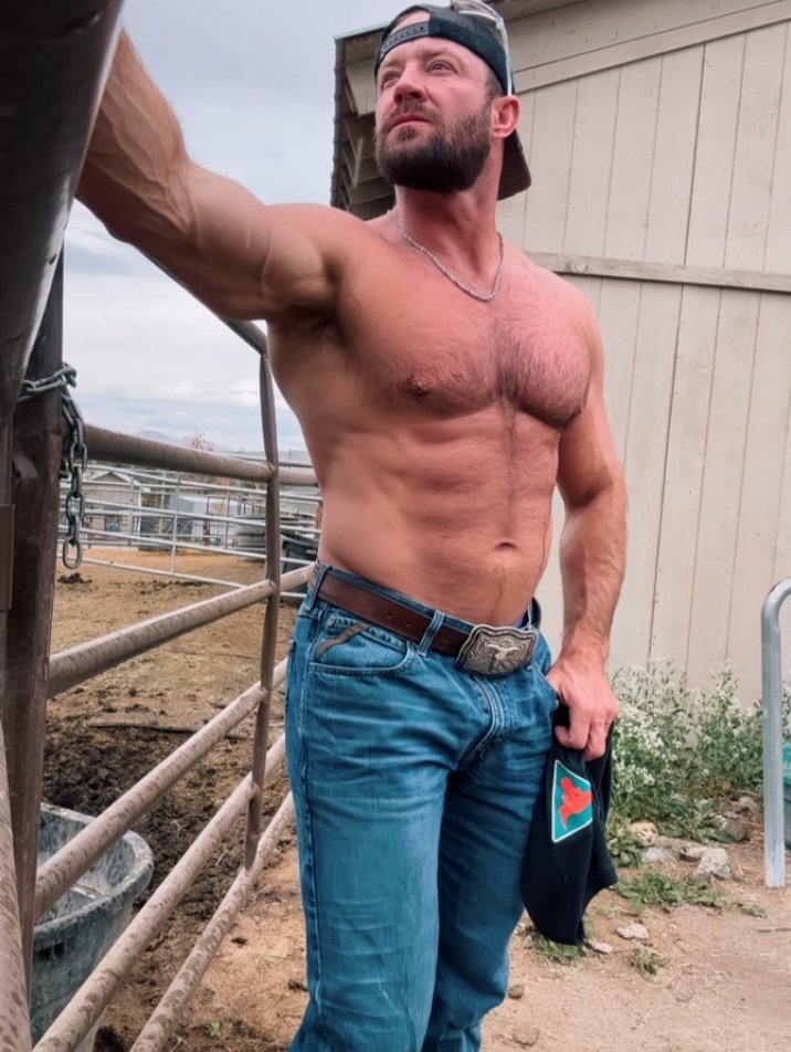 tracetrainer67's tweet photo. I’ll be waiting for you behind the barn 😈 https://t.co/Law5ICQaCK