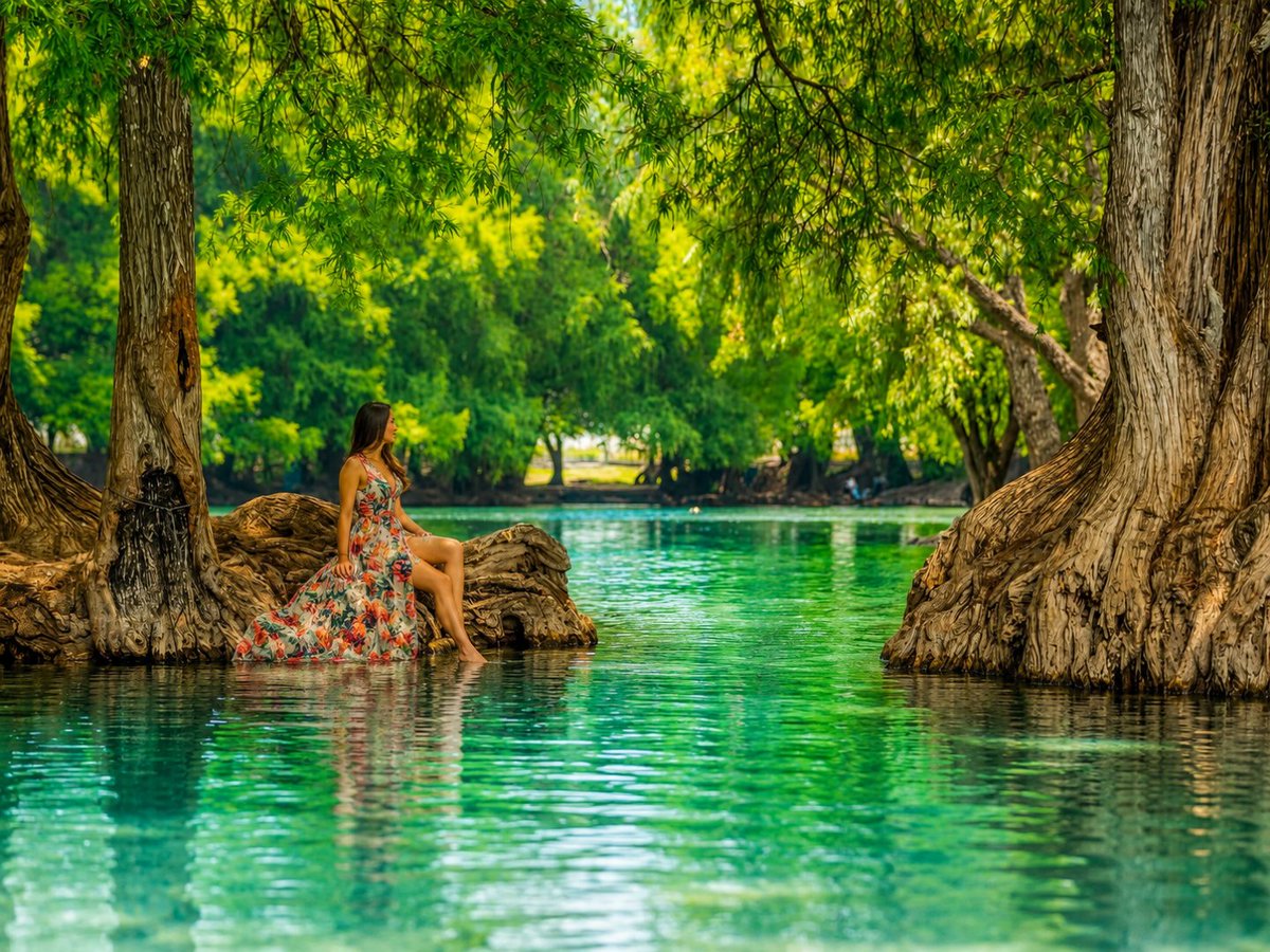 Michoacan's tweet photo. 🌞🌿 ¡#BuenosDías desde el Parque Nacional Lago de Camécuaro! 💧✨
Aguas transparentes, árboles imponentes y paisajes que invitan a respirar profundo hacen de este rincón de Michoacán una pausa perfecta para el alma. 🍃💚
¿Ya viviste la magia de sus reflejos? 🌳🌊
Hospédate en los hoteles de #Michoacán #elAlmadeMéxico