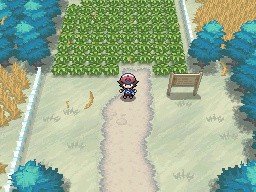 JaimeBN1987's tweet photo. Aquí tenéis un juego oficial de Pokémon en 2.5D sin necesidad de destrozar los antiguos. Se llama Pokémon Blanco y Negro, ¿lo conocéis? https://t.co/e1PZ9vNMO9