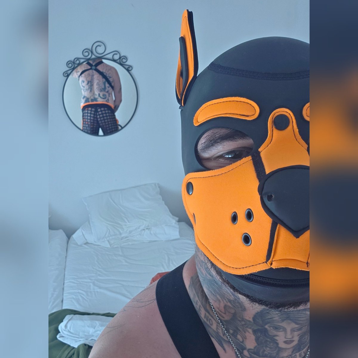 PupTaboo's tweet photo. Pup went and bought some fun new things! https://t.co/ch5BSRhdVB