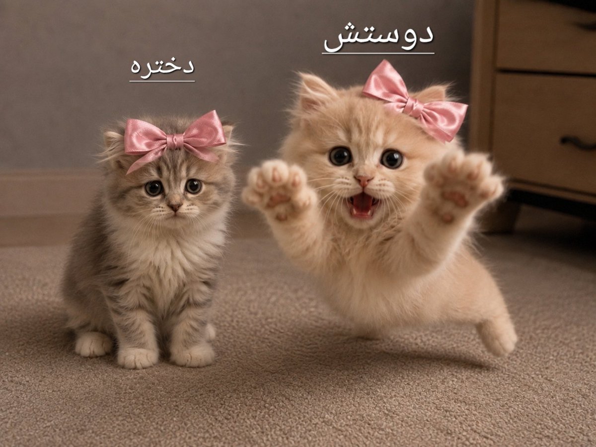 afshinow's tweet photo. وقتی میخوام شماره بگیرم: https://t.co/t9QQnGbQ3o