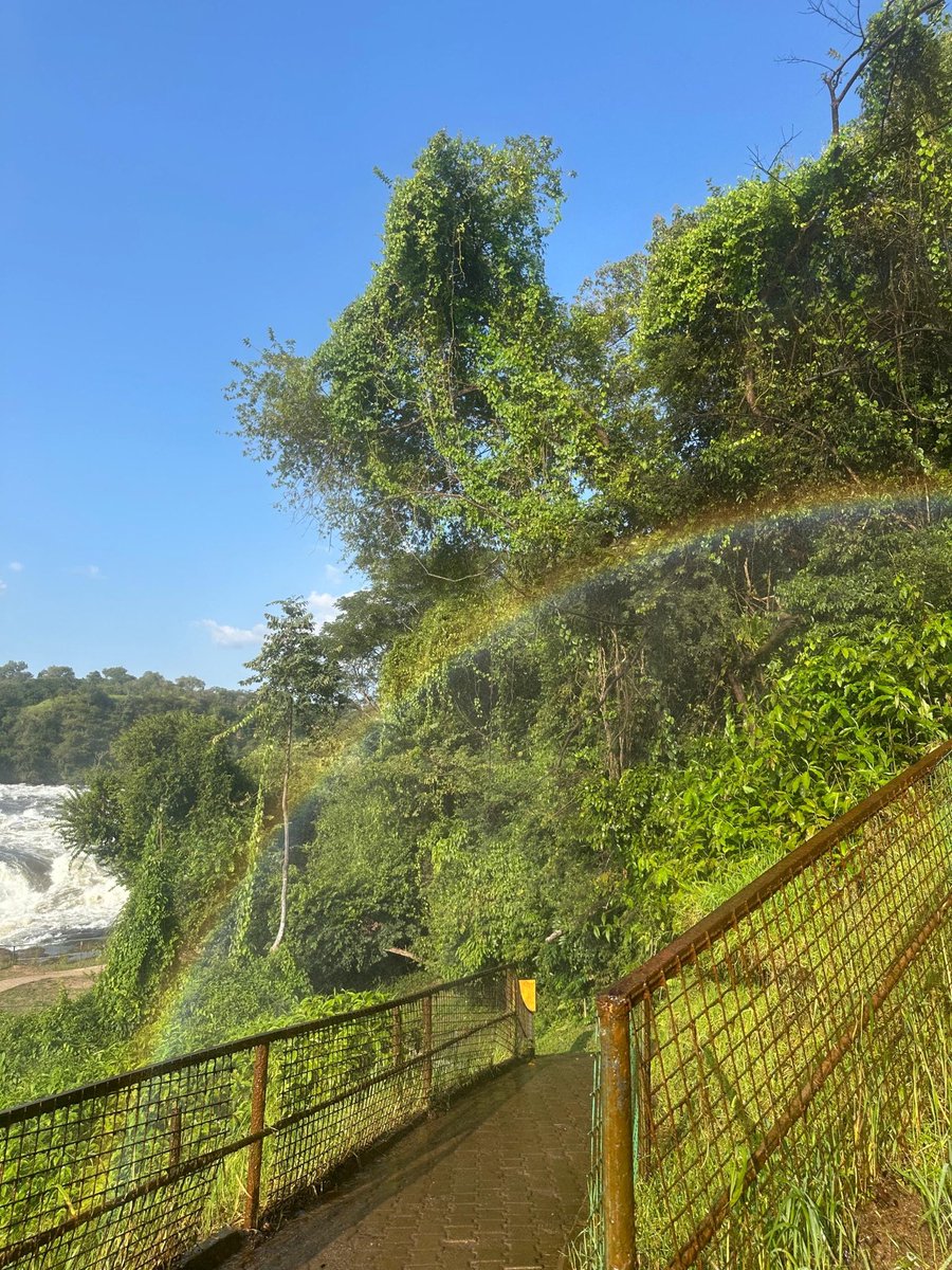 bespokesafarisu's tweet photo. Murchison Falls National Park 📍 https://t.co/RFhKSTONgw