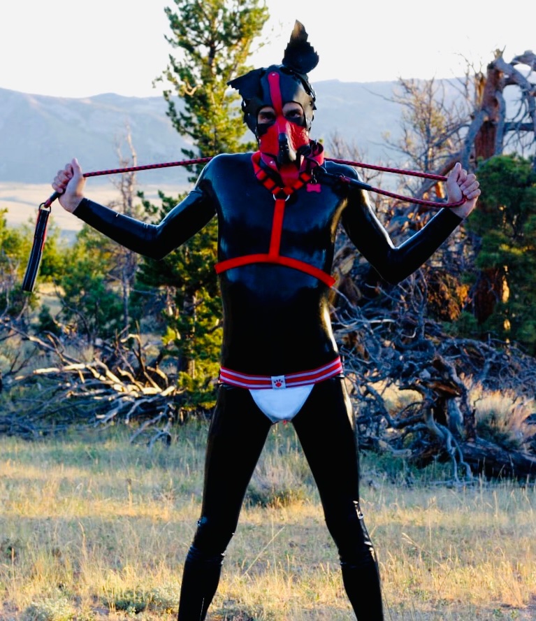 SillyDirtyDog's tweet photo. dogo in the mountains 👀 https://t.co/GMteqnfsCK