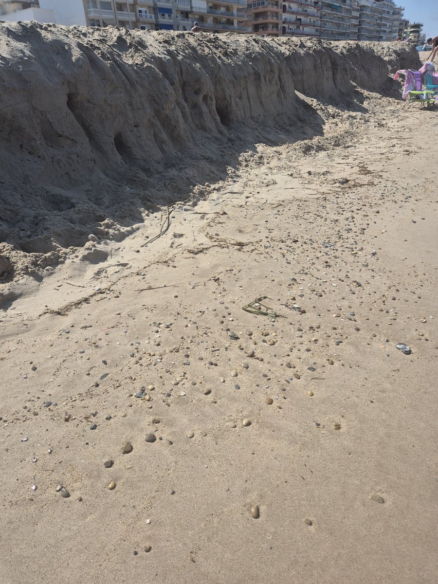 jfdezroca's tweet photo. ¿Serán las prisas... o el muro que quieren levantar para evitar que vuelva a ocurrir lo de Ceuta

 La playa de El Perelló sigue llena de acantilados de arena, con el riesgo que eso supone para quienes la disfrutan. 🏖️⚠️

Menos propaganda y más soluciones. 🇪🇸💪 https://t.co/DOAvwp0bCV