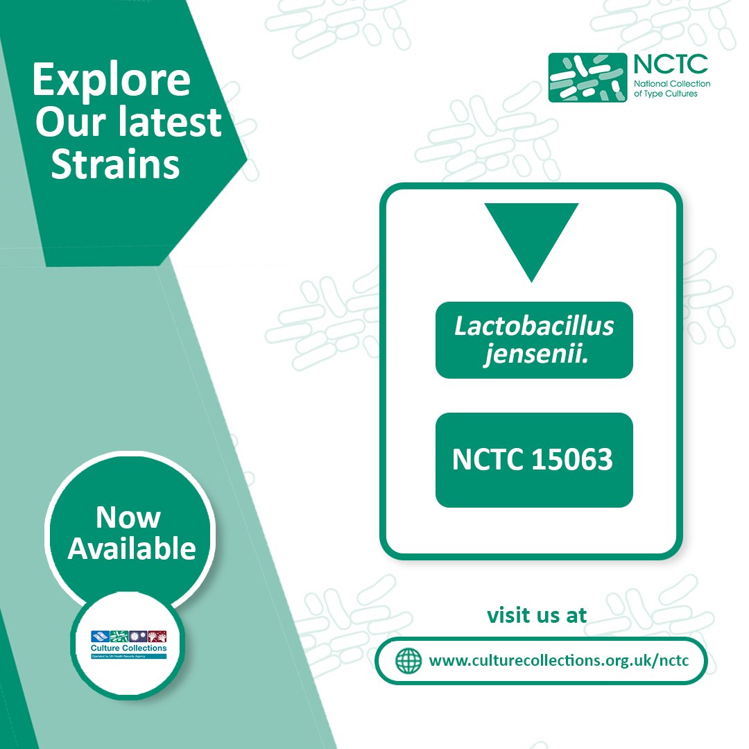 NCTC_3000's tweet photo. Type strain available from NCTC: Lactobacillus jensenii. An important member of the human microbiota, supporting research in physiology, host-microbe interactions, taxonomy and probiotics. https://t.co/nKoOsigmii #NCTC #Microbiology #Probiotics https://t.co/WHQe6vTRPp