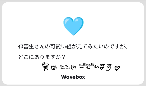 404_nulI_'s tweet photo. まとめての回答で申し訳ございません；；
リクエストありがとうございました♡自認可愛い組ｻﾝでした https://t.co/kdhoc3PKwn