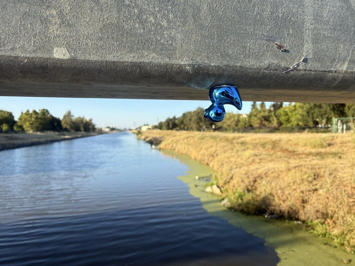 solo10e's tweet photo. ✨🦆 https://t.co/eOr6TudlSv