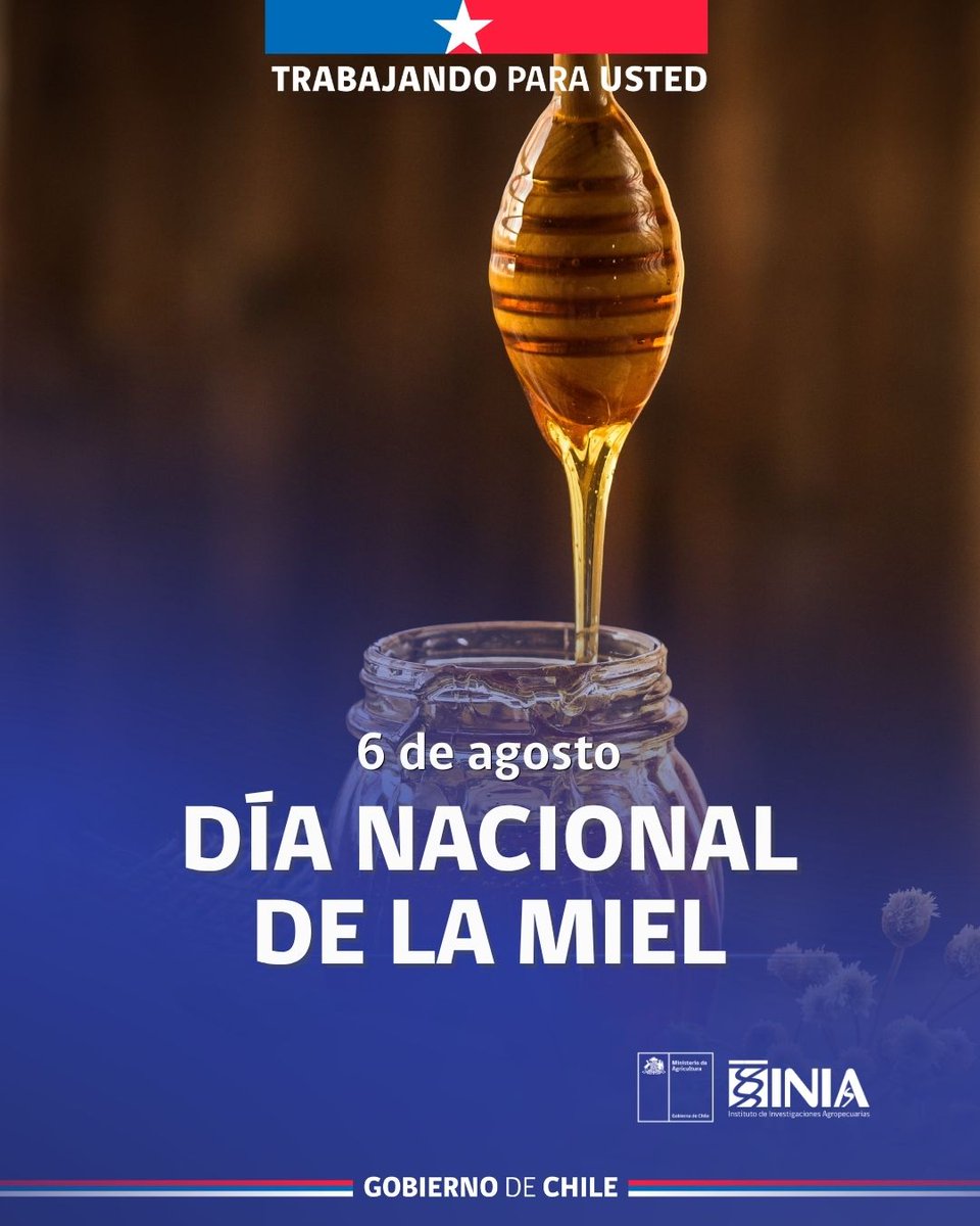 iniachile's tweet photo. Hoy con memoramos el #díanacionaldelamiel🍯 destacando la importancia de la apicultura y para promover el consumo de este alimento en la sociedad por sus diversas propiedades 🐝 https://t.co/3Cfp01hrwH