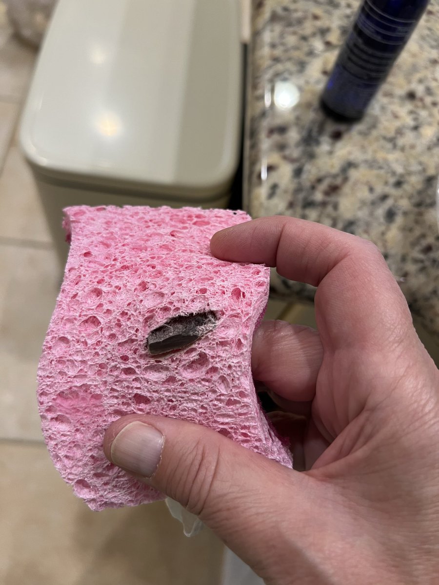 Richard70814766's tweet photo. @scotchbrite Care to explain why my wife found this hard plastic or possibly glass embedded inside a brand-new sponge? This could have caused a serious injury. How does something like this make it through quality control? https://t.co/czXKXWzr5N
