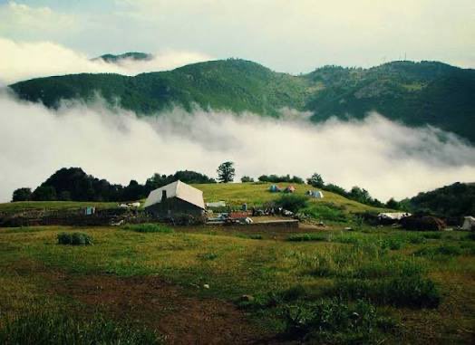 Metagont's tweet photo. Cloud Forest, Iran 

Where ancient forests meet the sky. Walk among trees millions of years old as clouds drift beneath your feet—one of the most magical landscapes in the Middle East.

#Iran #CloudForest #Nature #Travel https://t.co/AYApQmiZJ6