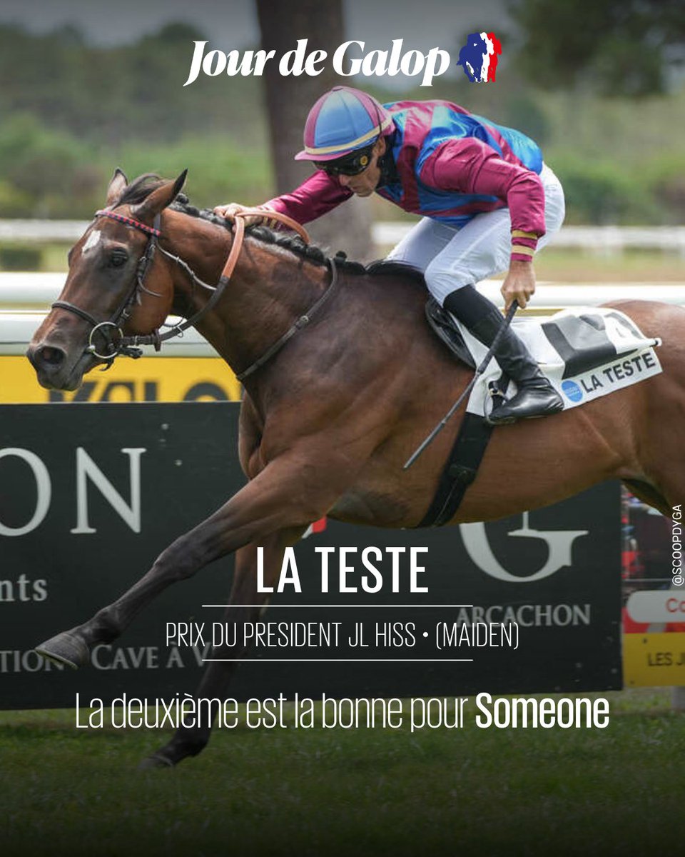 Jour_de_Galop's tweet photo. ⭕ #LaTeste – Prix du Président JL Hiss
Someone (Gleneagles) ouvre son palmarès dès sa 2e sortie. Le pensionnaire de Didier Guillemin, monté par Alexandre Gavilan pour Endre Rosjoe, Laurent Mahout et Didier Guillemin, affiche de nets progrès sur le mile
👉 https://t.co/oZJcmHeLGj https://t.co/XKCoE5HROH