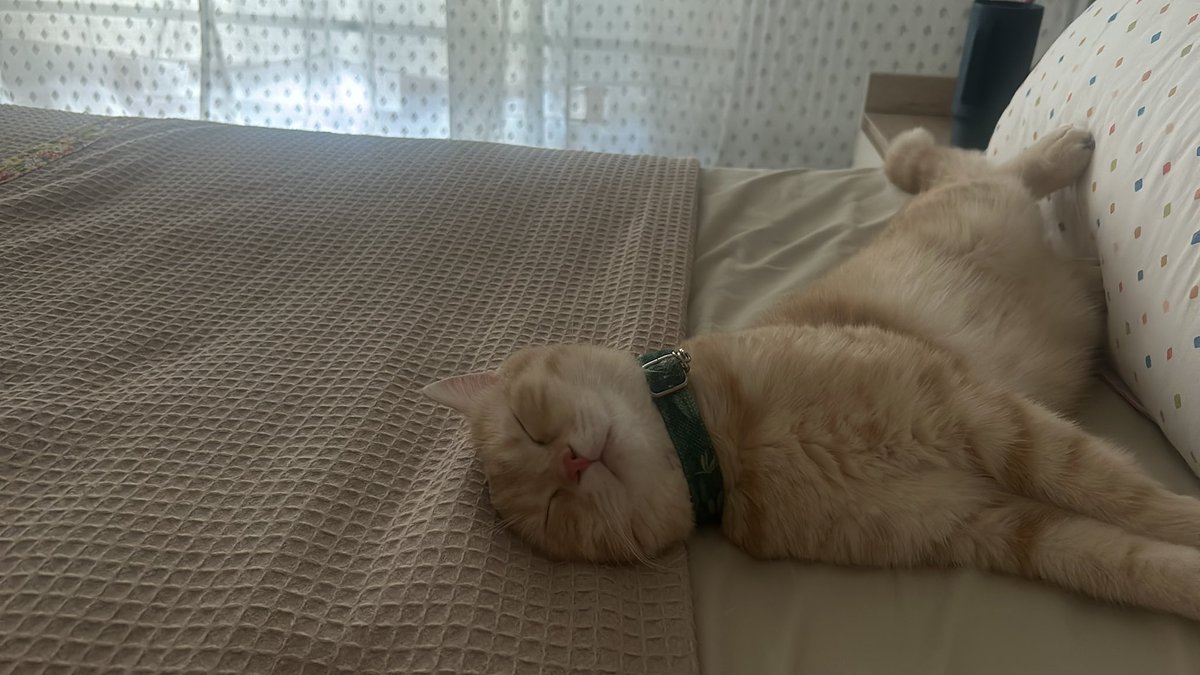 Edanurkybs's tweet photo. Ahsjjs böyle bir twetime denk geldim de tutarlılıkta tutmazşar gibi ol. Capi mi çok seviyorum. Canım oğlum https://t.co/2IjLIEaPbx