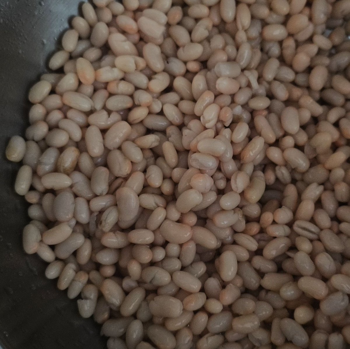 MikeKocht's tweet photo. Sommerlicher #Salat heute wieder "mit alles" ;-)
Es müssen ja nicht immer Nudeln sein, weiße Bohnen eignen sich genau so gut als "Füllmaterial" und bringen neben Kohlehydraten auch mehr Protein ins Gericht.
https://t.co/9MwcMaYW4o https://t.co/c1sp4gdcyp