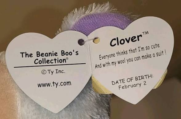 beanieoftheday's tweet photo. todays beanie boo of the day is clover the lamb ! https://t.co/nBWxVEMIEB