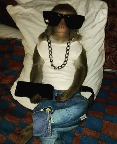 Brahma_Py's tweet photo. Yo el sábado listo para el concierto de Arcángel https://t.co/CTRaefkUqz