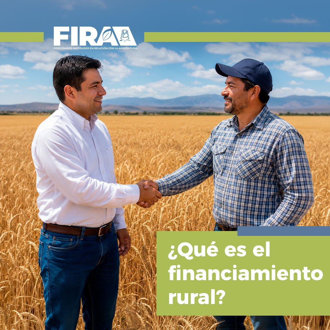 FIRA_Mexico's tweet photo. El financiamiento rural apoya actividades económicas lícitas en el medio rural, distintas a las tradicionales, para impulsar empleo y reactivación económica en proyectos viables. 

https://t.co/SV9OhWa1n4 

#FIRAContigo https://t.co/M8Ilvi6U68