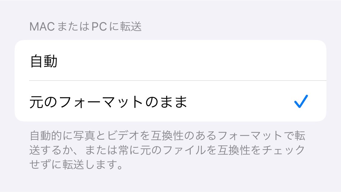ユキちゃん🐹 (@YukichanKawaii) / Posts / X