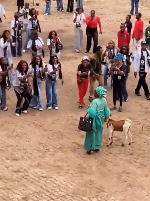TheDamiForeign's tweet photo. This woman brought goat for her son on his sign out day😭😂 https://t.co/Sd2Lb1SY5F