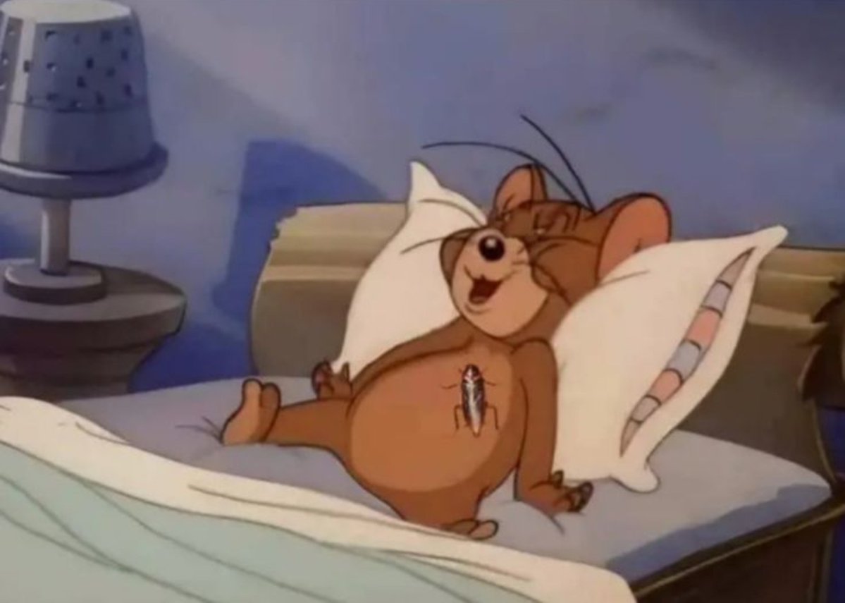 vinxrose's tweet photo. The only cuddle i get at night 🥲 https://t.co/gbl0XbEQtA