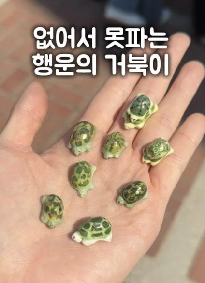jisunqpawrk's tweet photo. oh the luck turtle on jisung's phone.... so cute😭🤏🏻 https://t.co/z9GXBPw0la