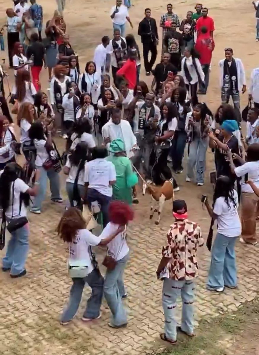GuyMr10's tweet photo. Her son graduated and she brought a ram to celebrate with him, love how other students joined them in celebration 😂🔥 https://t.co/7pxVPHkajc