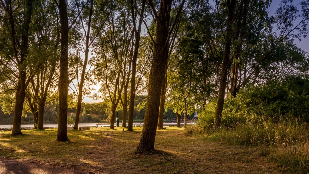 AtackJason's tweet photo. Lakeside Doncaster UK
#Doncaster #Yorkshire #NikonD500 #Landscape #Woodland #Sunset https://t.co/rEdcPc169q