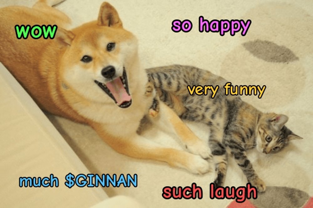 ginnancoin_cto's tweet photo. you had doge in 2013 or you have ginnan now. history rhymes https://t.co/TmGYiqpxum
