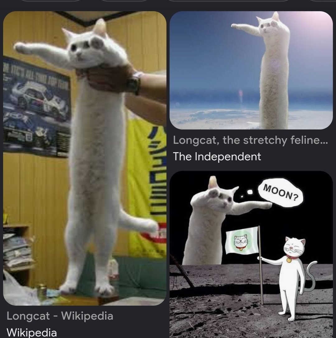 SupreemeSol's tweet photo. Before $DOGE before $PEPE before the timeline became a low-effort circus, there was ONE TRUE GOD OF LENGTH: Shiro the iconic Longcat who broke the early internet and defined meme culture forever.  
​And now $SHIRO is taking over Solana

CLEjjvLaGoQjGxu1N3iVvjaCxDVtEZv4YJ3pSoAYpump