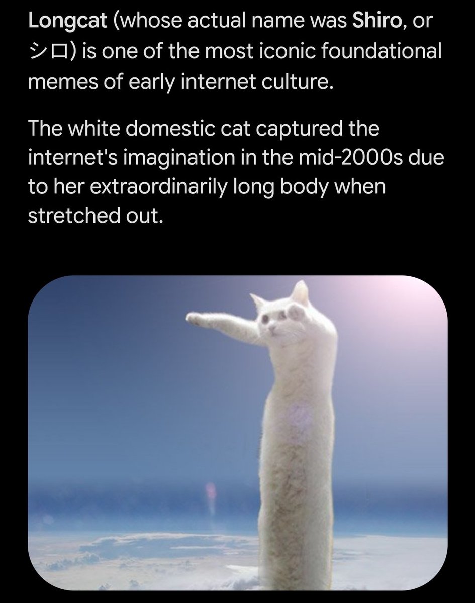 SupreemeSol's tweet photo. Before $DOGE before $PEPE before the timeline became a low-effort circus, there was ONE TRUE GOD OF LENGTH: Shiro the iconic Longcat who broke the early internet and defined meme culture forever.  
​And now $SHIRO is taking over Solana

CLEjjvLaGoQjGxu1N3iVvjaCxDVtEZv4YJ3pSoAYpump