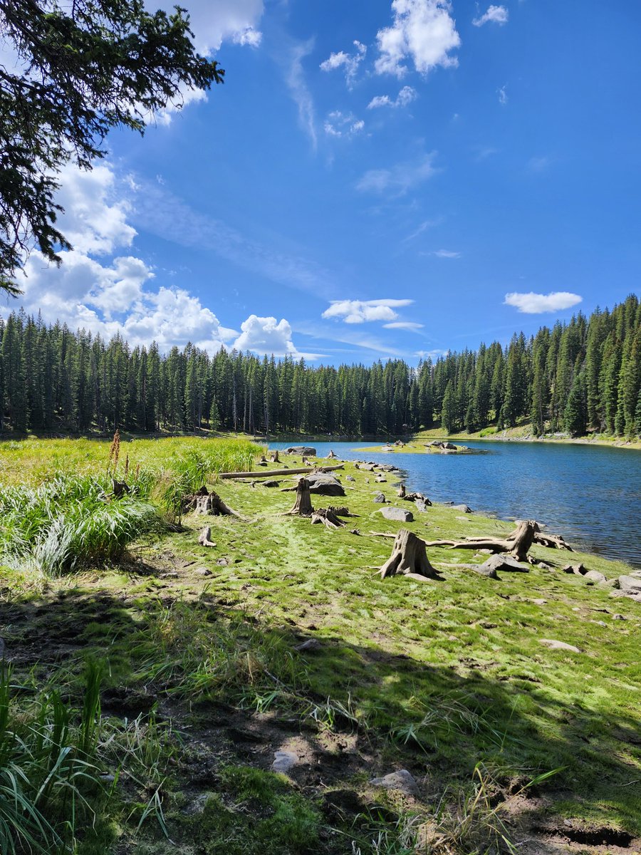 MysticalMayhm's tweet photo. Share a nature photo from your gallery - wildlife, trees, landscapes, forests, insects, flowers. 🌳❄️🏔️🌅 https://t.co/sAbsQsXwvy