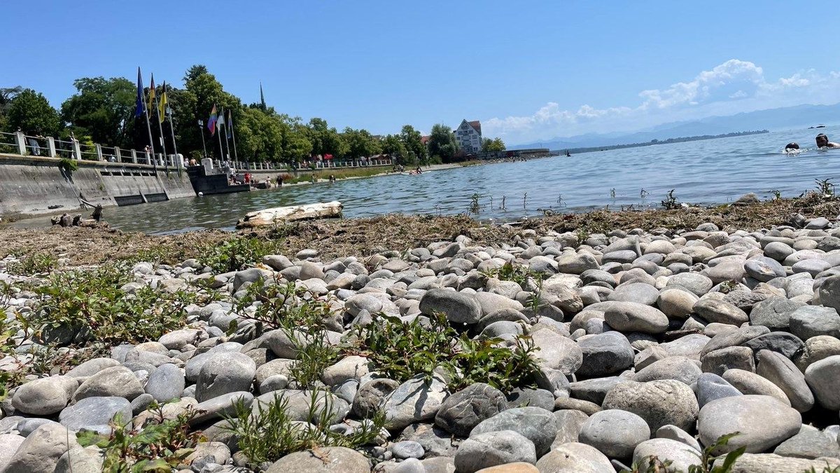 ScherhagThomas's tweet photo. historischer Tiefstand am Bodensee❗️

Der Wasserstand ist derzeit historisch niedrig und zwar nicht nach Gefühl, nicht nach einem geschickt fotografierten Ufer und auch nicht nach der Farbe des Wassers im Lindauer Hafen, sondern nach Messdaten.

Am 4. August lag der Pegel Konstanz bei 286 Zentimetern.

Das sind:
– 94 Zentimeter weniger als im Mittel für diesen Kalendertag  
– 19 Zentimeter weniger als beim bisherigen Tiefstwert eines 4. August im Jahr 1949  
– der niedrigste für diesen Tag gemessene Stand seit Beginn der amtlichen Auswertung im Jahr 1850

Dennoch - der Bodensee ist nicht verschwunden. Er wurde auch nicht heimlich ausgestöpselt und nein, das ist kein absoluter Allzeit-Tiefstand. Im Winter und frühen Frühjahr wurden schon niedrigere Pegel gemessen. 
Ungewöhnlich und rekordverdächtig ist aber der Zeitpunkt: Der Bodensee führt normalerweise im Frühsommer und Sommer besonders viel Wasser, weil Regen und Schneeschmelze aus den Alpen den See speisen. Das fiel diesmal aus.

Und das Niedrigwasser hat längst praktische Folgen:
• Erste Häfen laufen trocken. In Gaienhofen-Horn waren zuletzt nur noch etwa 20 Prozent der Liegeplätze nutzbar; die Sliprampe lag bereits trocken. In Iznang, Nonnenhorn, Fischbach und weiteren Häfen müssen Boote verlegt oder vorzeitig aus dem Wasser geholt werden.

• Ausweichplätze werden knapp, weil auch die tieferen Häfen zunehmend voll sind.
• Einzelne Landungsstellen können nicht mehr oder nur noch eingeschränkt angefahren werden. In Langenargen fallen wegen des Niedrigwassers Abfahrten aus. 
• Mannenbach kann bei einzelnen Angeboten bis auf Weiteres nicht bedient werden. 
• Zwischen Stein am Rhein und Diessenhofen besteht bereits ein Streckenunterbruch.
• Kursschiffe müssen langsamer, vorsichtiger und mit größerem Abstand zum Ufer anlegen. Das führt zu Verspätungen und erschwert teilweise den Ein- und Ausstieg.

Und der Pegel soll weiter sinken❗️ Damit werden voraussichtlich weitere flache Häfen und Anlegestellen wegfallen.

Die unmittelbaren Ursachen sind bekannt
monatelange Trockenheit, wenig Schnee im alpinen Einzugsgebiet, entsprechend wenig Schmelzwasser, außergewöhnlich geringe Zuflüsse und hohe Verdunstung. Der Alpenrhein führte am 4. August nur rund 96 Kubikmeter pro Sekunde  aber üblich wären zu diesem Zeitpunkt etwa 247 Kubikmeter.

Ist damit jeder einzelne Zentimeter „vom Klimawandel verursacht“?

Es wäre unwissenschaftlich, den Zusammenhang zum Klimawandel grundsätzlich zu leugnen: Wärmere Winter bedeuten weniger als Schnee gespeichertes Wasser, eine frühere Schneeschmelze verschiebt den Zufluss in Richtung Frühjahr, und höhere Temperaturen steigern die Verdunstung. Genau dadurch werden sommerliche Niedrigwasserlagen wahrscheinlicher und problematischer.

"Aber der Bodensee hat schon immer geschwankt. 😩"
Richtig aber entscheidend ist nicht, ob es früher ebenfalls Niedrigwasser gab. Entscheidend ist, ob sich Zeitpunkt, Häufigkeit und Intensität solcher Ereignisse verändern.

Und nein: Ein Foto von einem Hafen in Lindau, in dem noch Wasser zu sehen ist, widerlegt keine Messreihe seit 1850.

Es beweist lediglich, dass der Fotograf eine Stelle gefunden hat, an der noch Wasser steht.